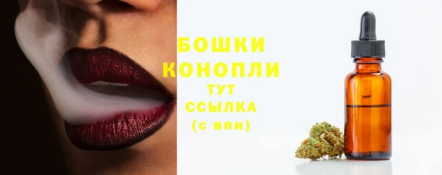 прущие грибы Богородицк