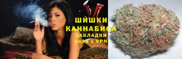 прущие грибы Богородицк