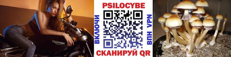 ОМГ ОМГ   Бирск  Псилоцибиновые грибы прущие грибы 